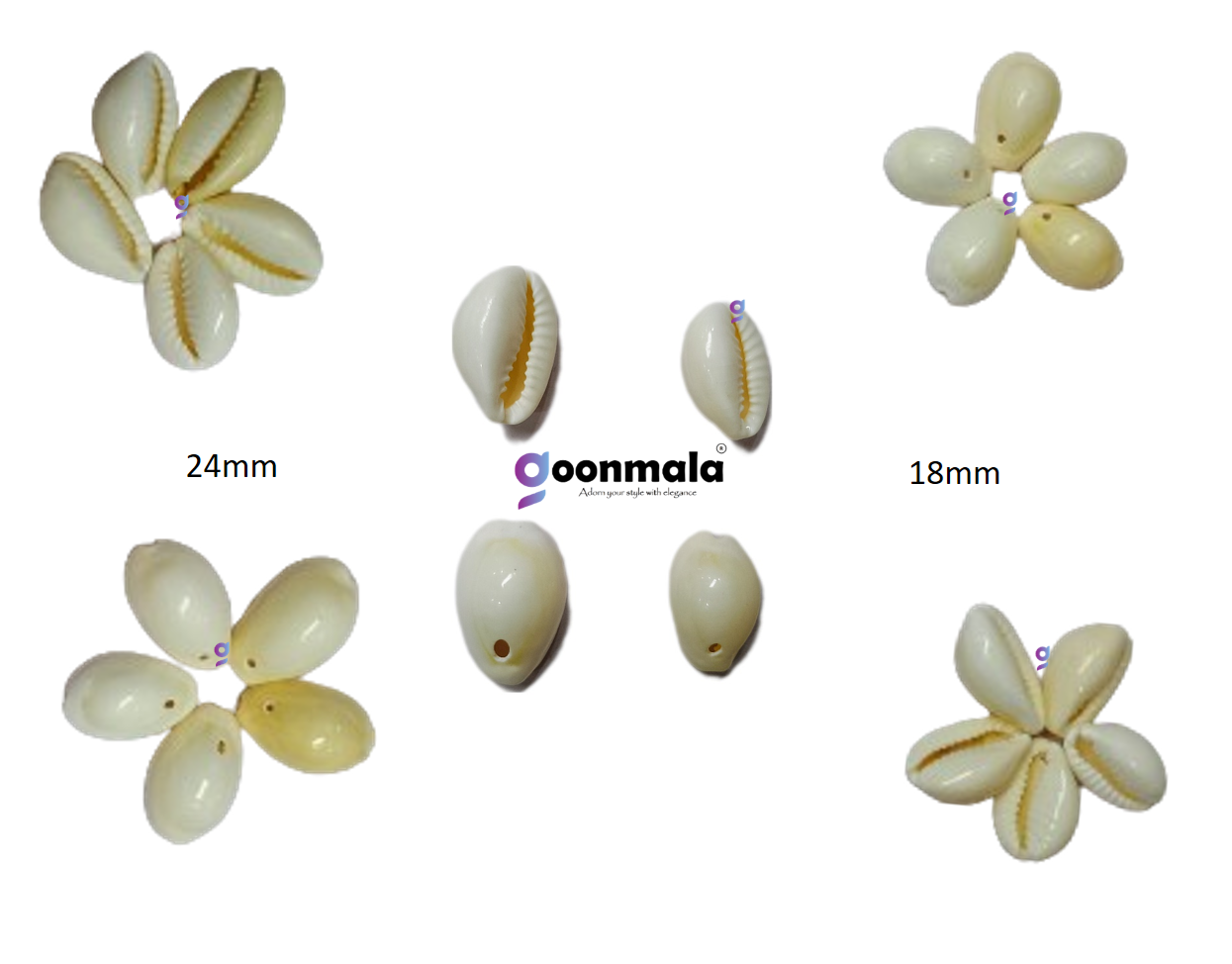 Natural Sea Shell Cowrie/Kodi for Craft Work, White colour, 000 size - Image 2