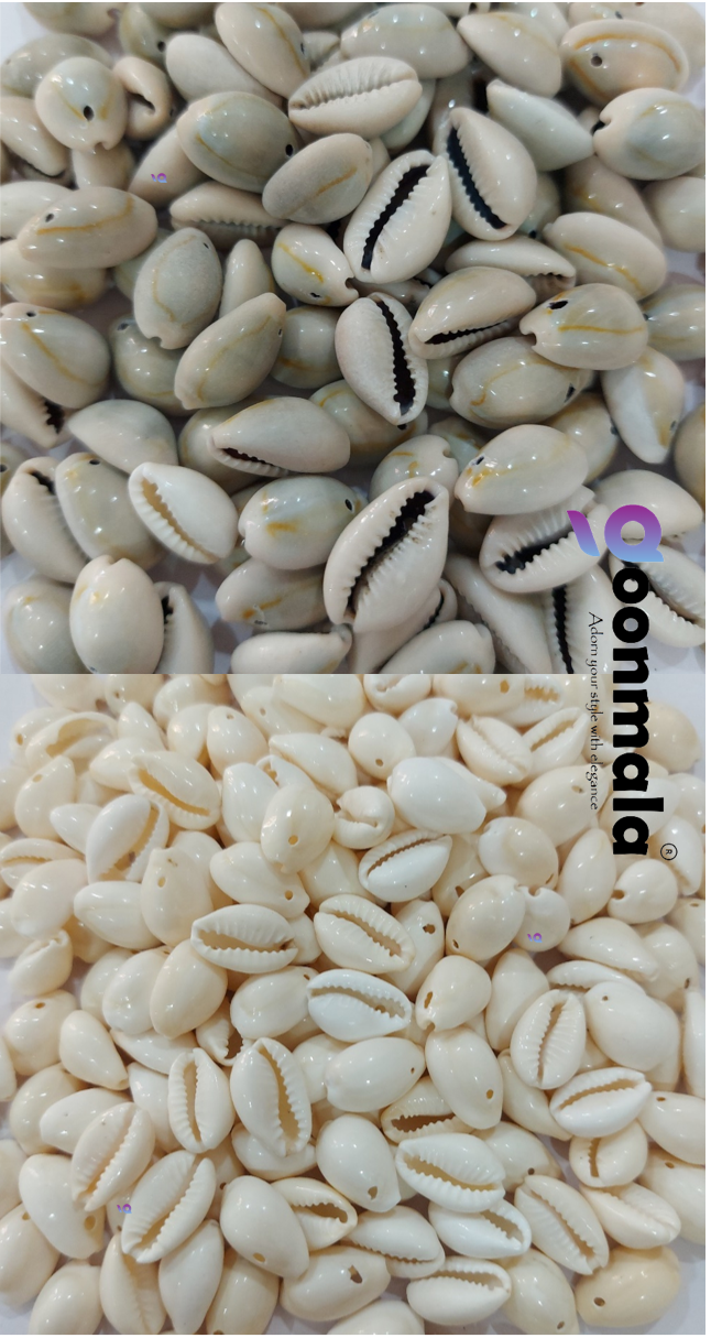 Natural Sea Shell Cowrie Work Grey & White colour 18mm 100 pc each