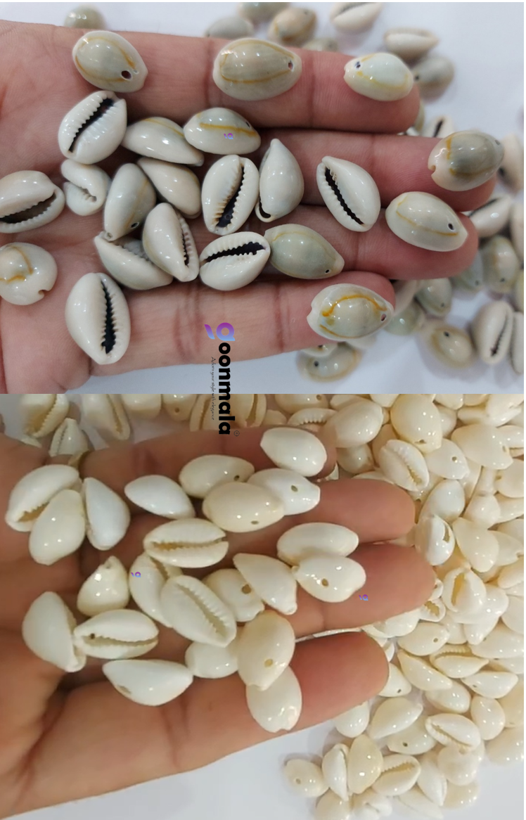 Natural Sea Shell Cowrie Work Grey & White colour 18mm 100 pc each - Image 2