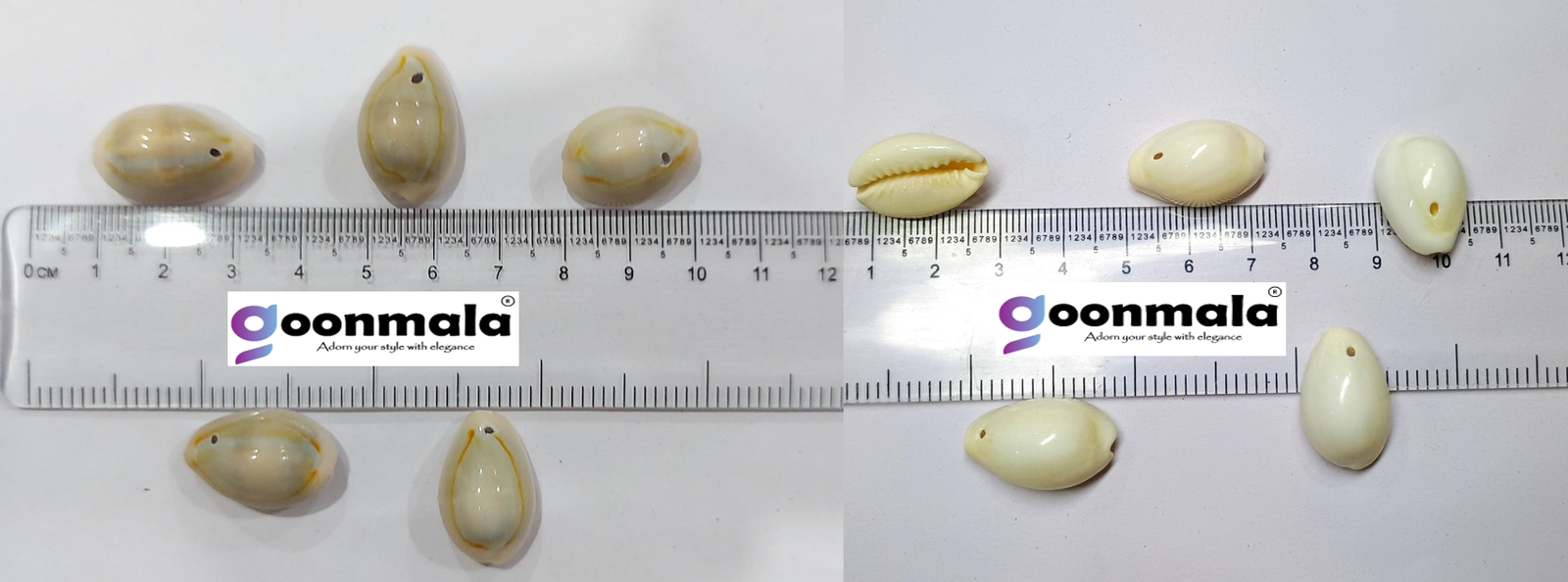 Natural Sea Shell Cowrie Work Grey & White colour 24mm 100 pc each - Image 4