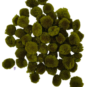 Pom Pom Balls small size,200 Pieces Pom Pom Balls for Arts, Craft and Handicrafts woollen, Mehndi Green