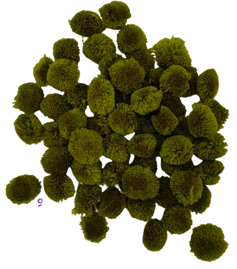 Pom Pom Balls small size,200 Pieces Pom Pom Balls for Arts, Craft and Handicrafts woollen, Mehndi Green