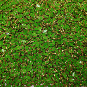 Kundan stone For Jewellery making, Bangles Embroidery Craft & Cloth Works, Plastic Eye Kundan 4x8mm, 500 pieces, Green